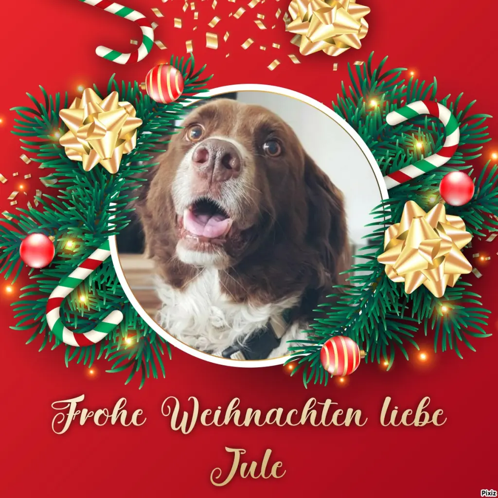 Condolence image of Tanja mit Timmy im Herzen 