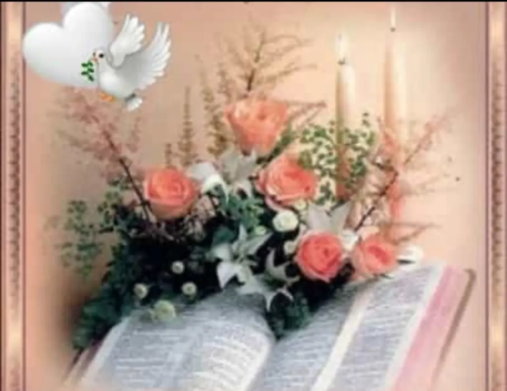 Condolence image of Gaby mit Snowy ❤️