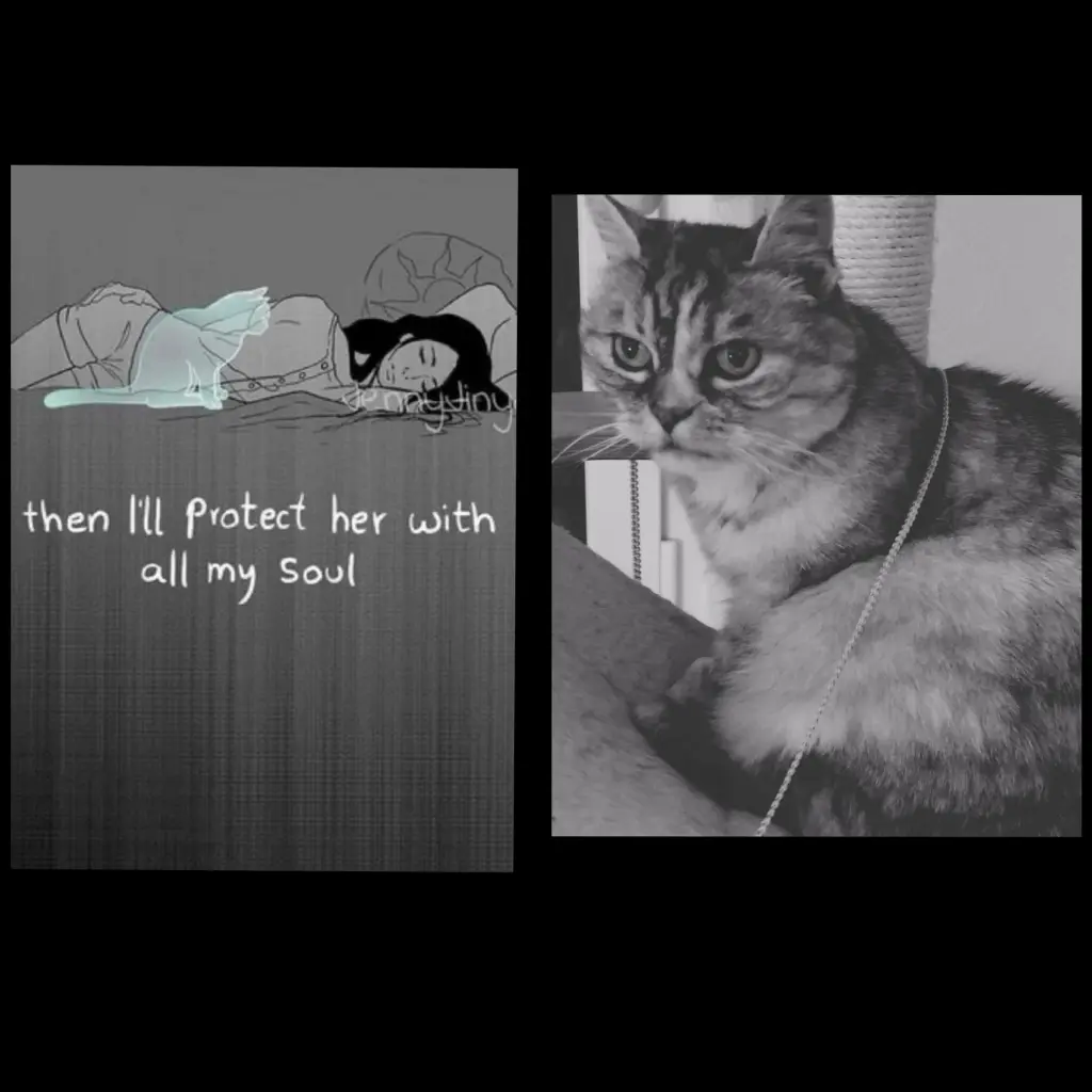 Condolence image of Für Jule♥️und Marina
