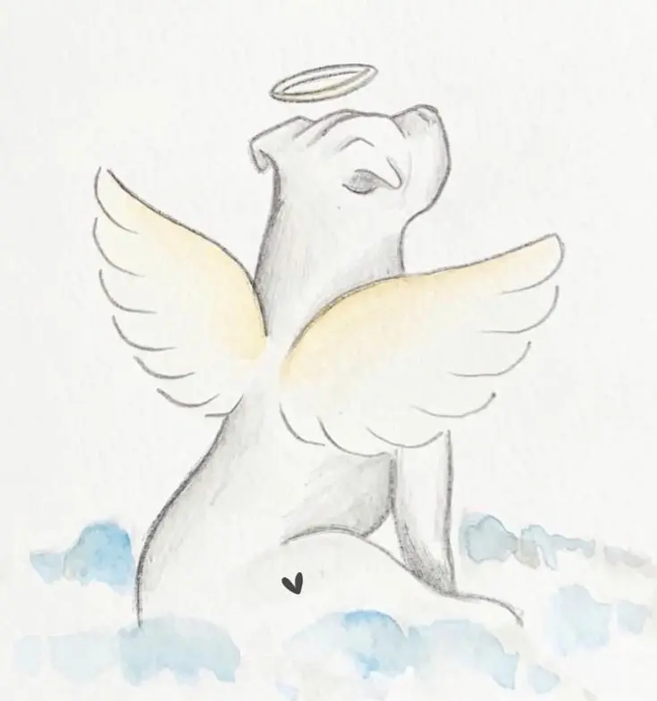Condolence image of Jessy von Lea