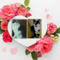 Condolence image of Annemarie und Elke mit Snoopy im Herzen gest.04.01.2022