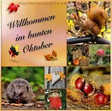 Condolence image of Snoopy ❤Pünktchen
