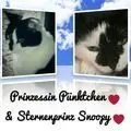 Condolence image of Snoopy und .Pünktchen