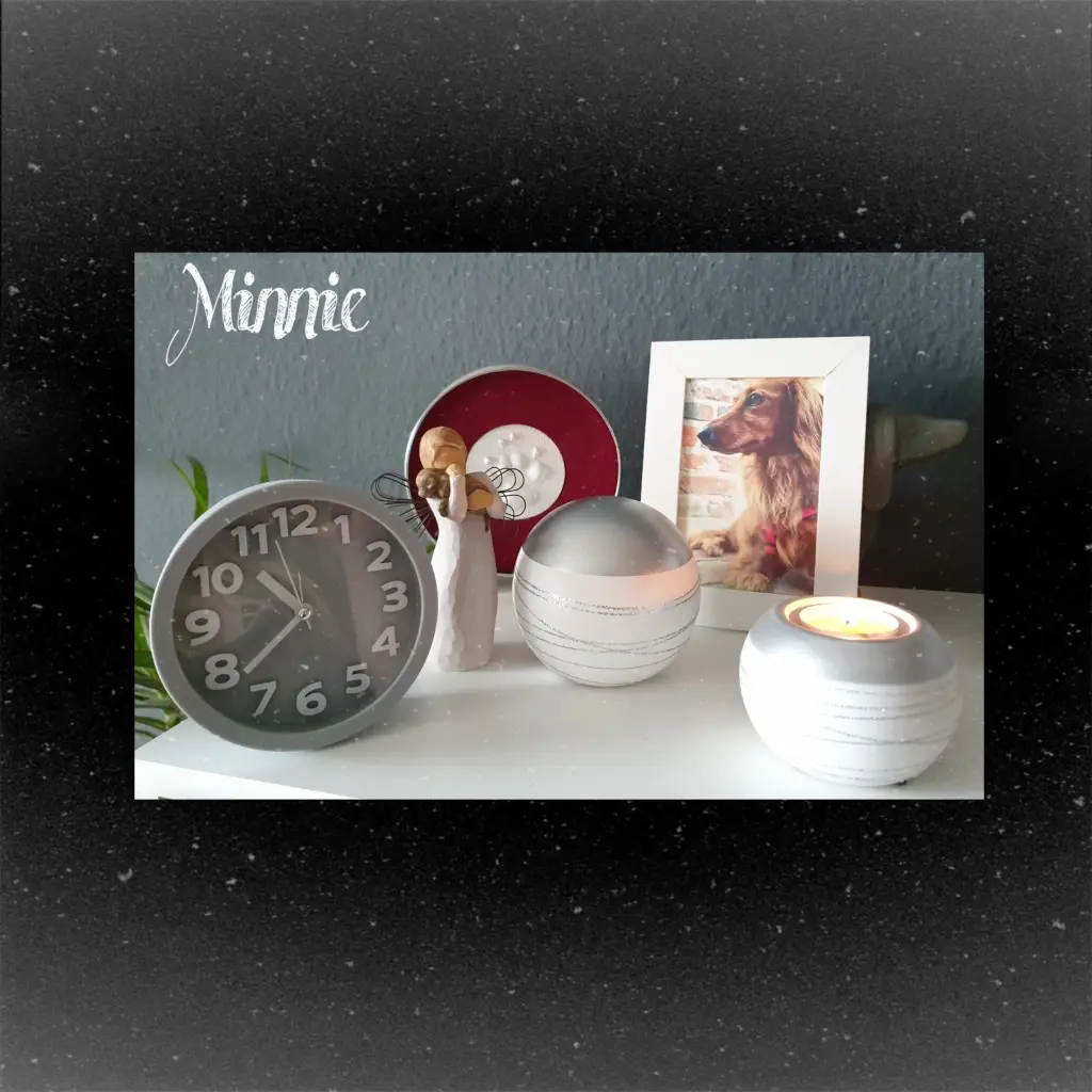 Image from Minnie