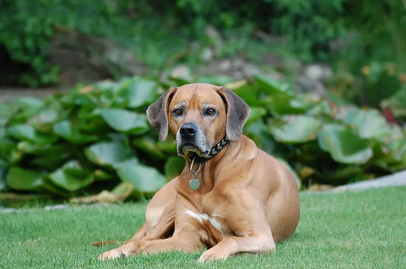 Condolence image of Ingolf