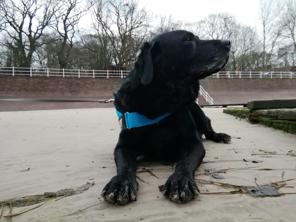 Andachtsbild von Susanne mit Carlos im Herzen