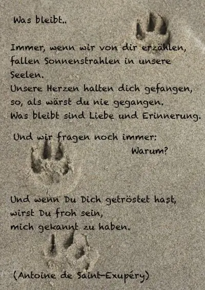 Condolence image of Tanja mit Timmy im Herzen