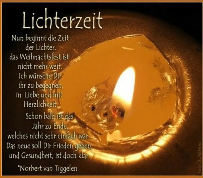 Condolence image of Tanja mit Timmy im Herzen