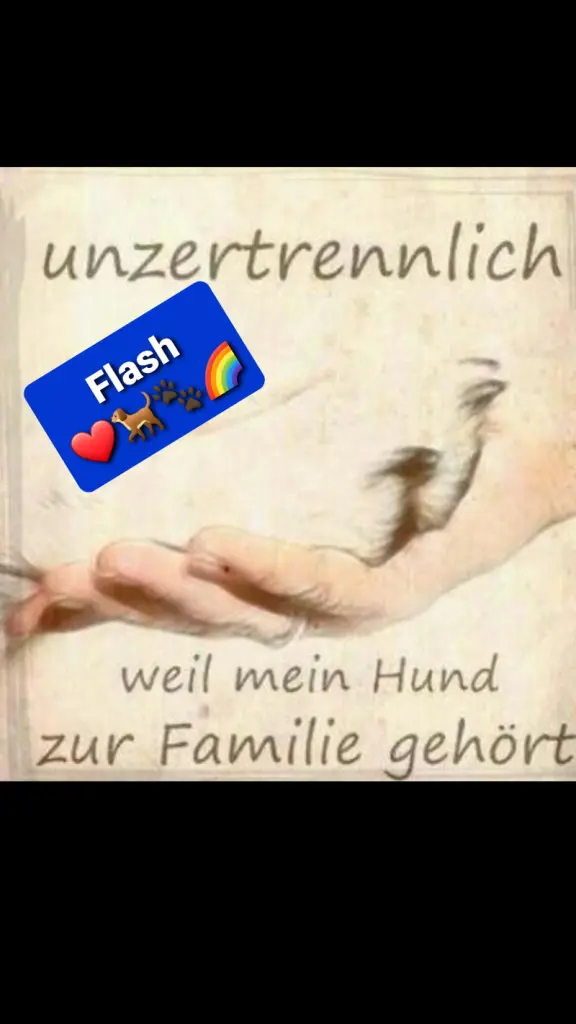 Condolence image of Tanja mit Timmy im Herzen
