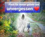 Condolence image of Tanja mit Timmy im Herzen 