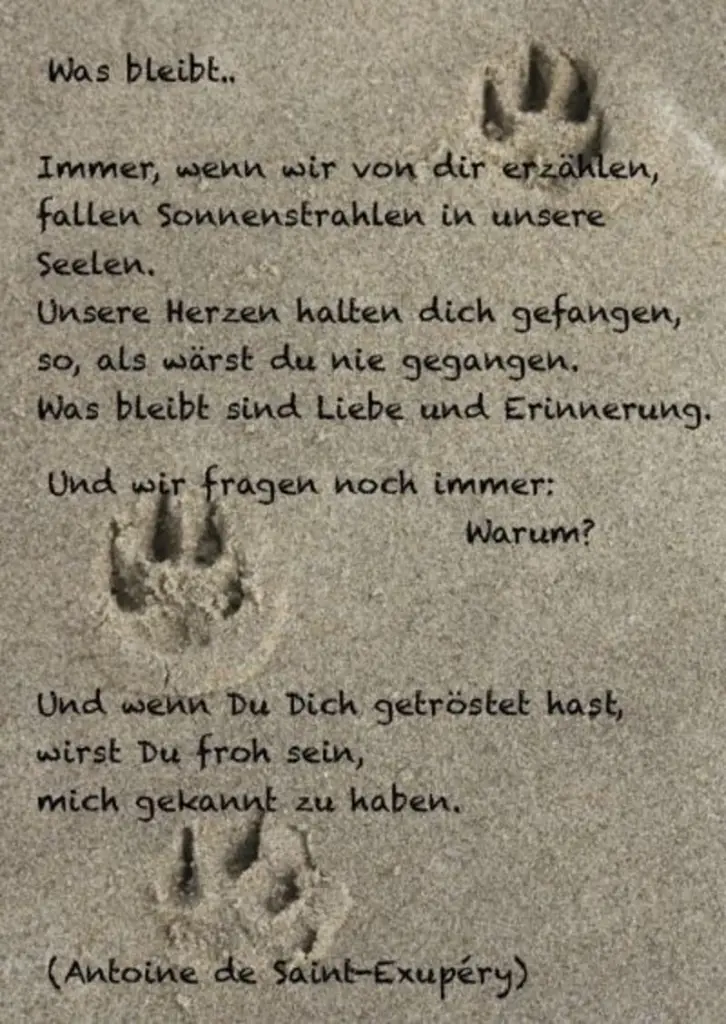 Condolence image of Unvergessen immer in meinem Herzen 
