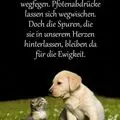 Condolence image of Tanja mit Timmy im Herzen
