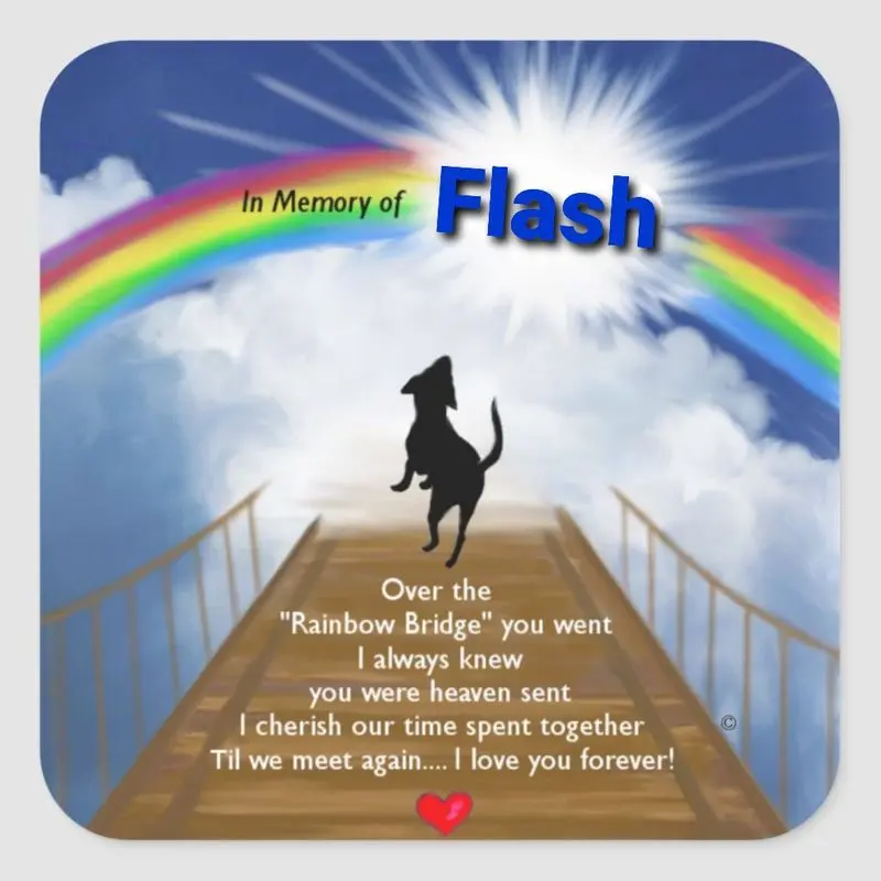 Condolence image of Tanja mit Timmy im Herzen