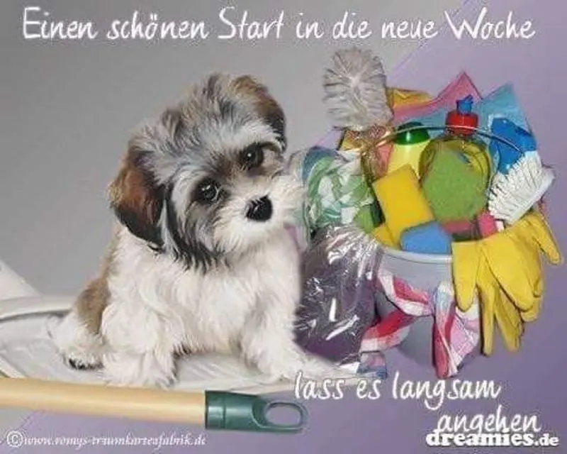 Condolence image of Tanja mit Timmy im Herzen