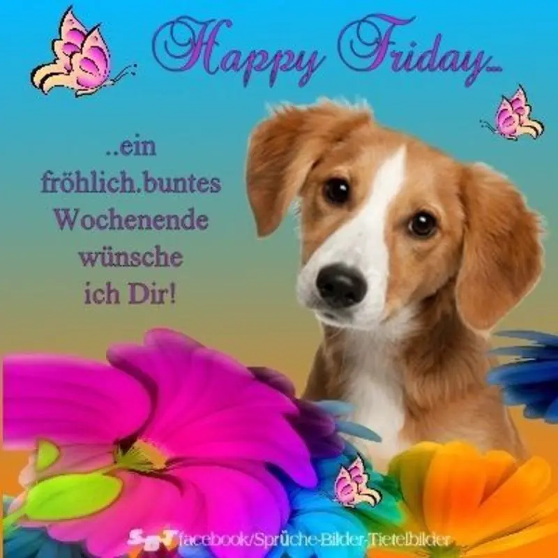 Condolence image of Tanja mit Timmy im Herzen
