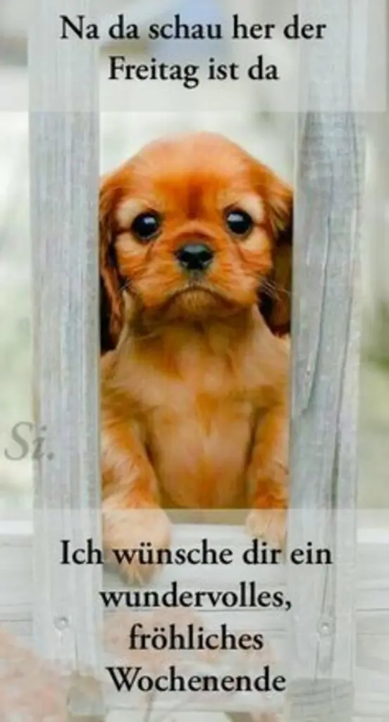 Condolence image of Grüße zum Wochenende ❤️❤️