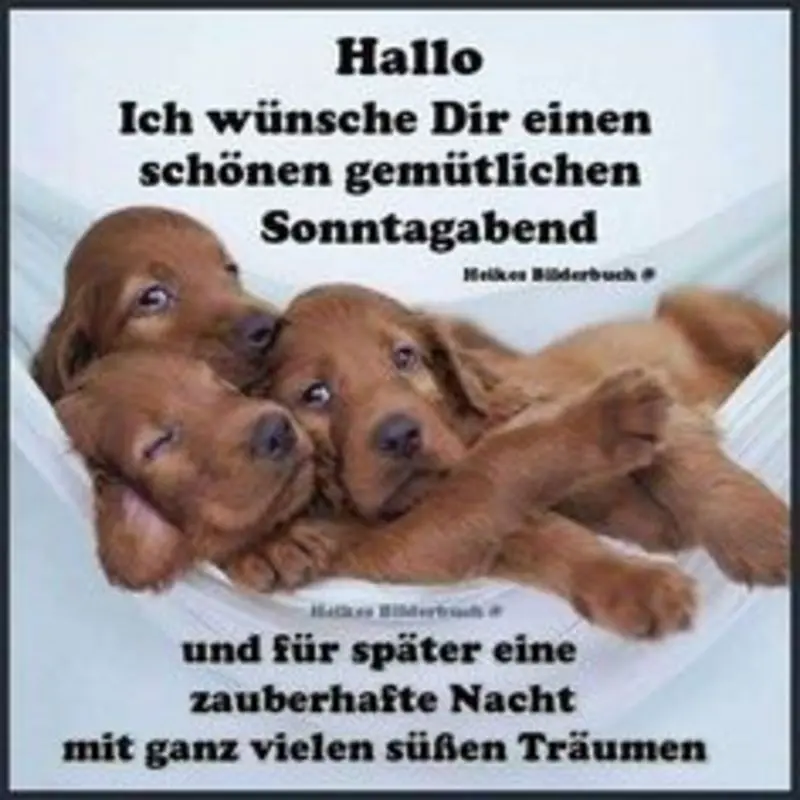 Condolence image of Tanja mit Timmy im Herzen