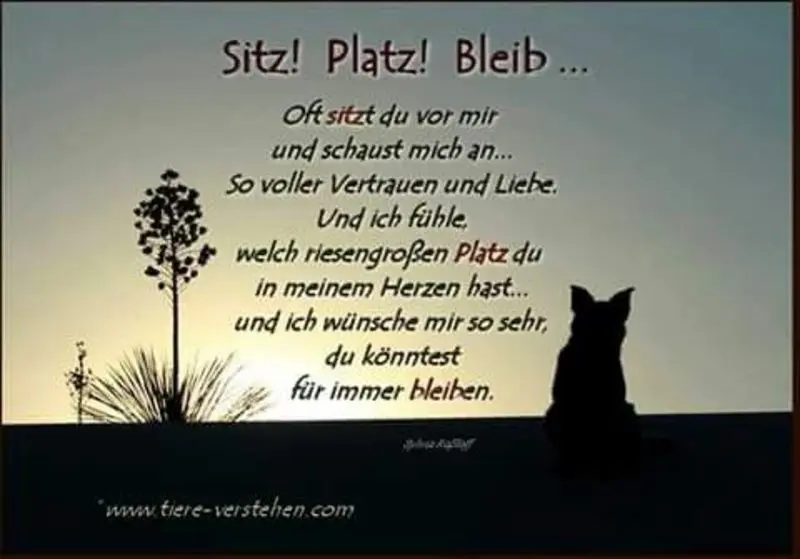 Condolence image of Immer in meinem Herzen ❤️ ❤️.❤️ ❤️.