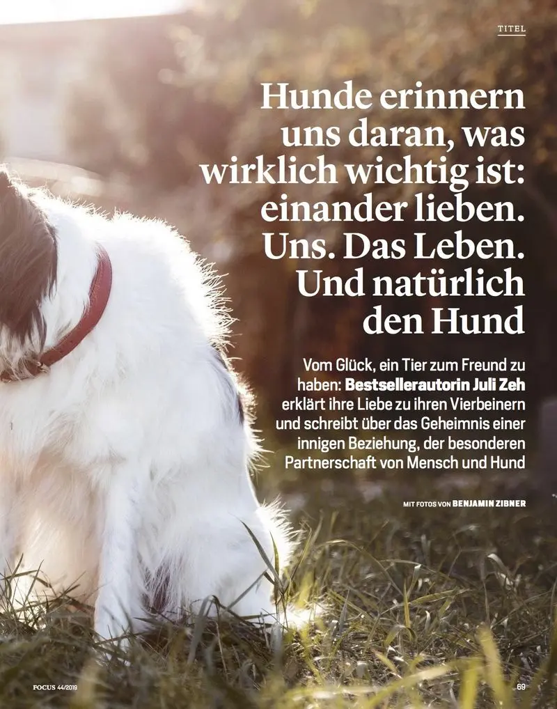 Condolence image of ❤️ ❤️.❤️ ❤️.Grüße zum Valentinstag ❤️ ❤️.❤️ ❤️.