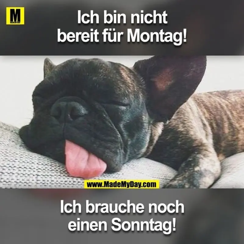 Condolence image of Tanja mit Timmy im Herzen 