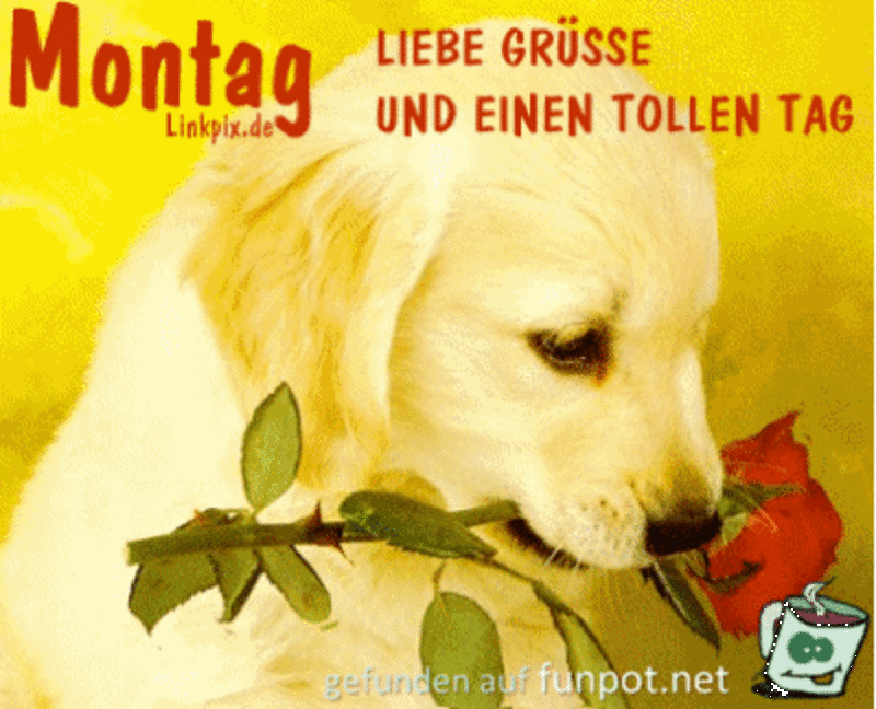 Condolence image of Tanja mit Timmy im Herzen