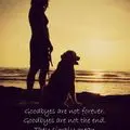 Condolence image of Tanja mit Timmy im Herzen