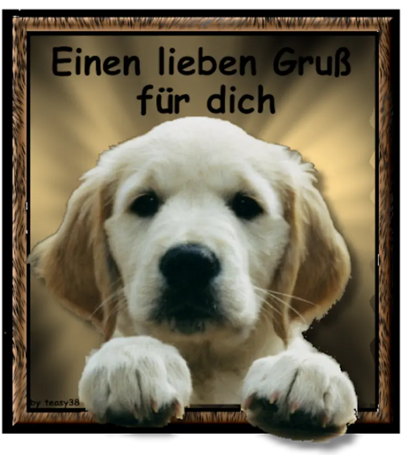 Condolence image of Tanja mit Timmy im Herzen