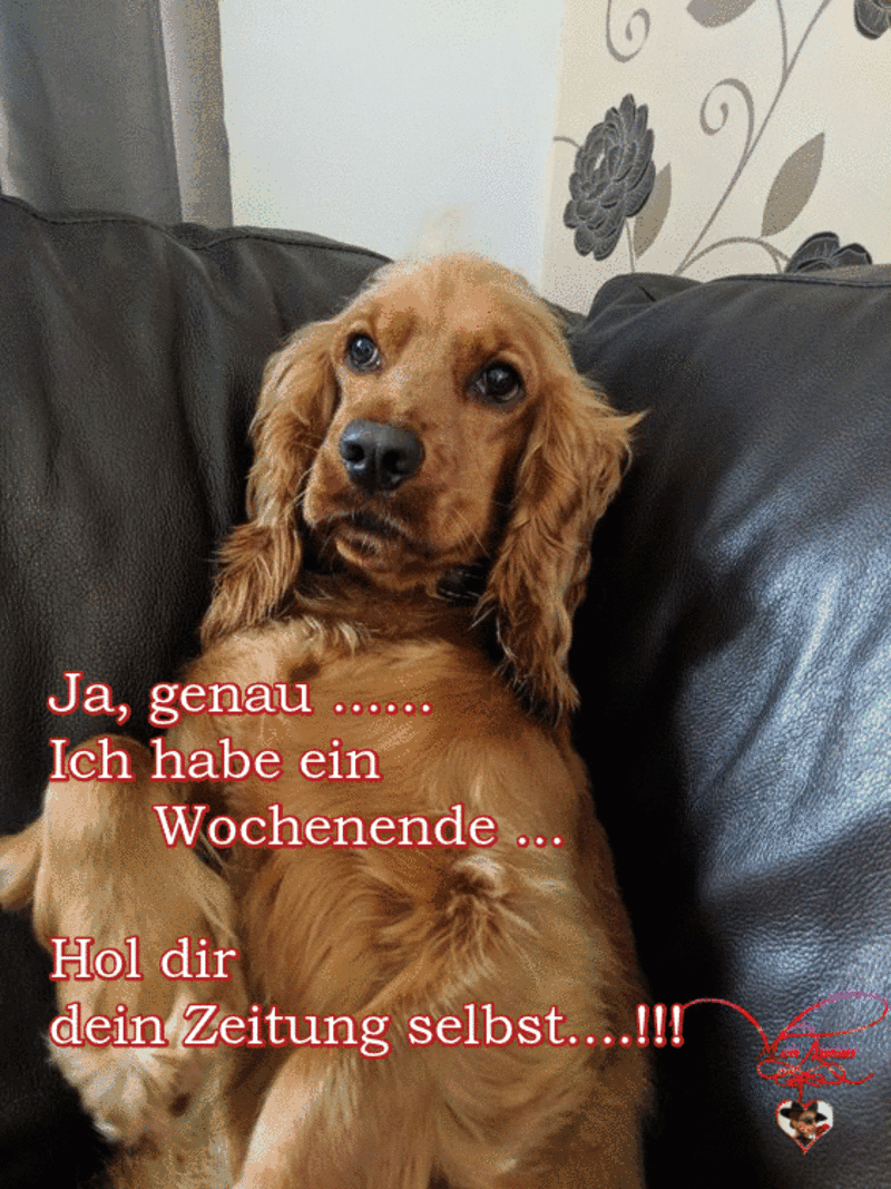Condolence image of Tanja mit Timmy im Herzen