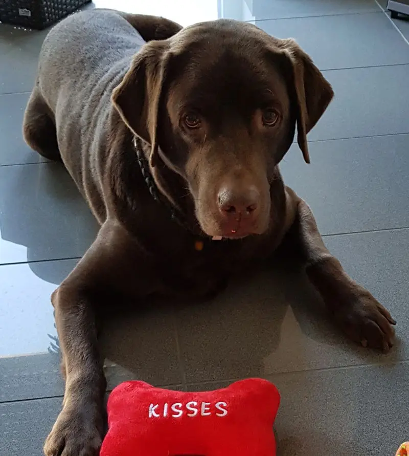Condolence image of Immer in meinem Herzen ♥️