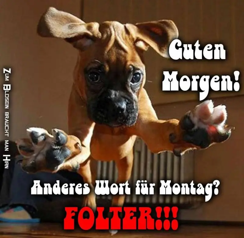 Condolence image of Tanja mit Timmy im Herzen