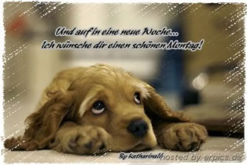 Condolence image of Tanja mit Timmy im Herzen