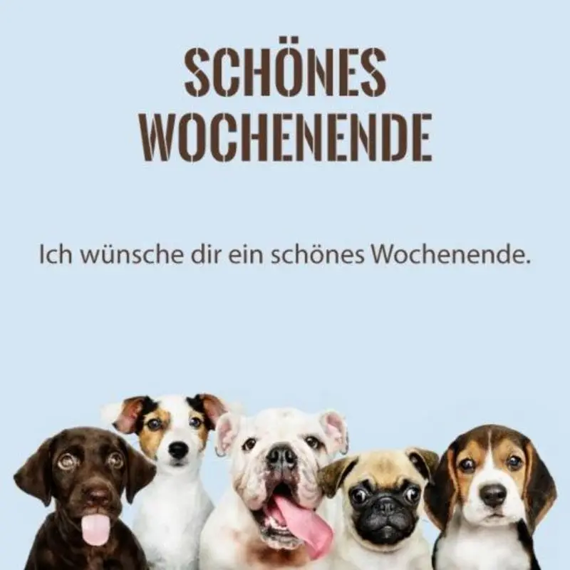 Condolence image of Tanja mit Timmy im Herzen