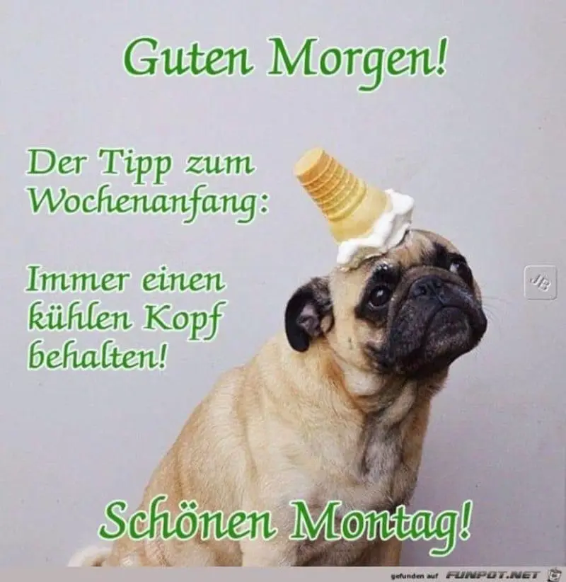 Condolence image of Tanja mit Timmy im Herzen 