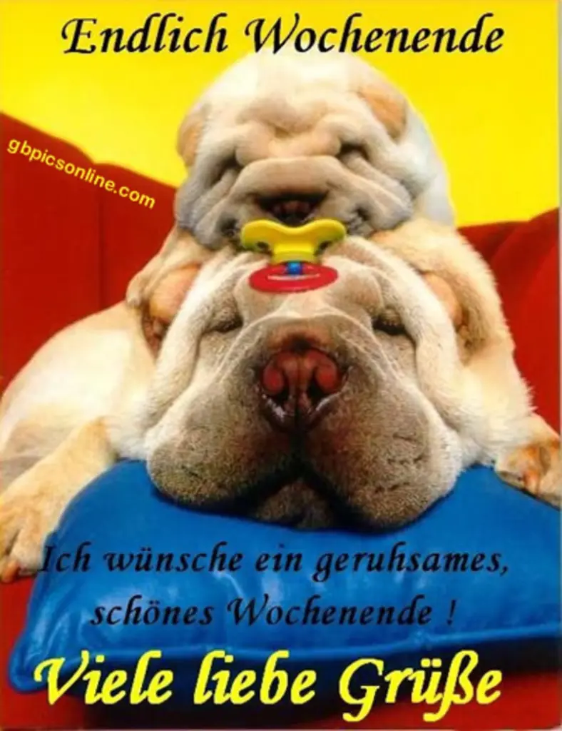 Condolence image of Tanja mit Timmy im Herzen 