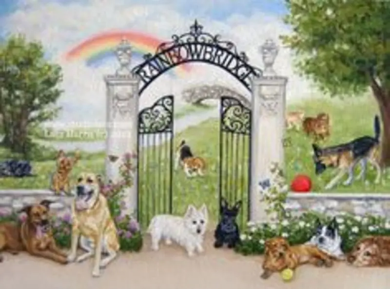 Condolence image of Tanja mit Timmy im Herzen 