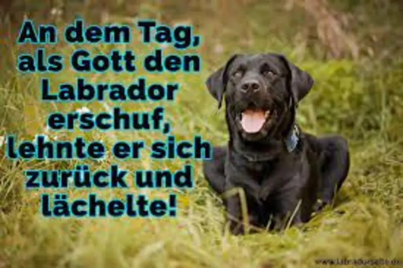 Condolence image of Flash immer im ❤️