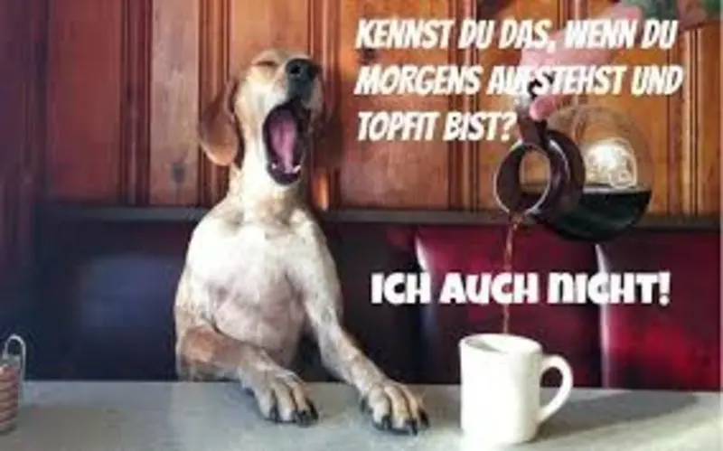 Condolence image of Tanja mit Timmy im Herzen