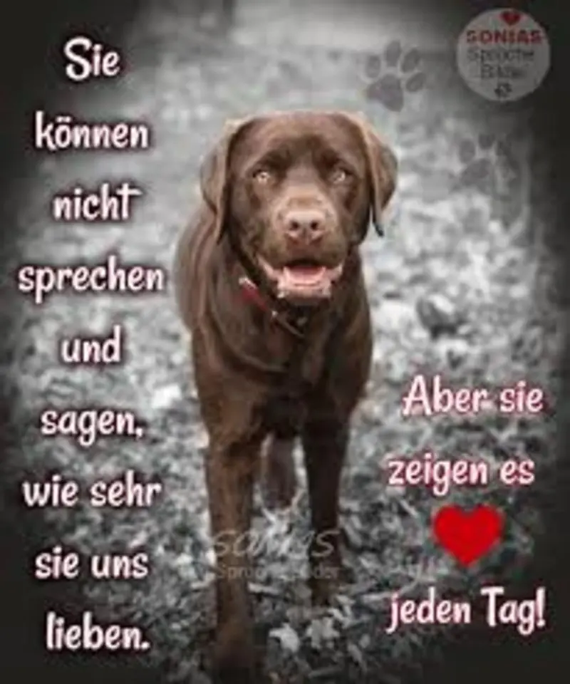 Condolence image of Immer in meinem Herzen ❤️❤️.