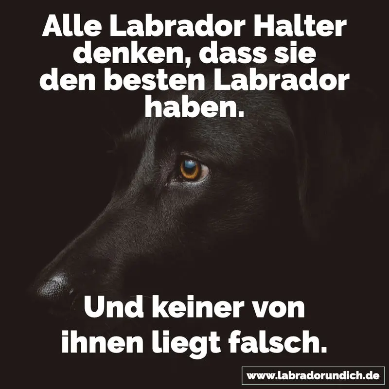 Condolence image of Flash immer im ❤️