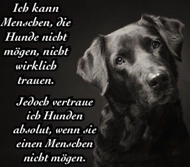 Condolence image of Flash immer in meinem Herzen ❤️❤️