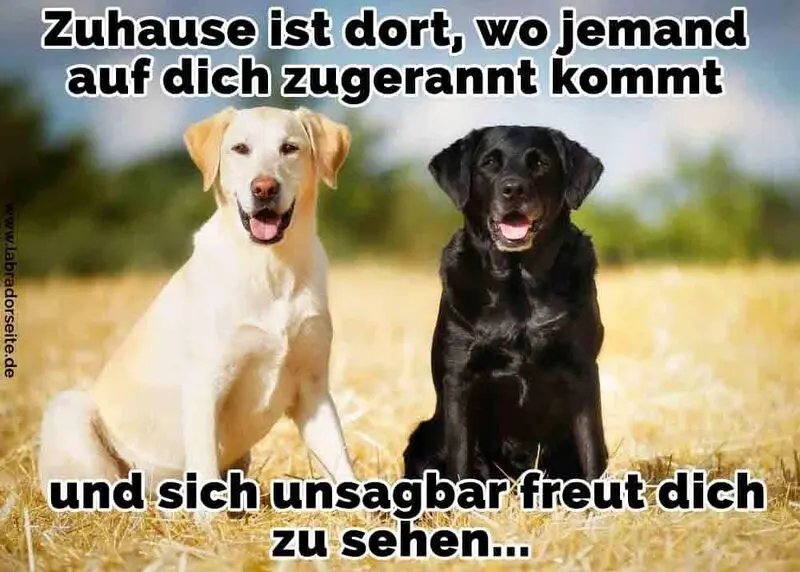 Condolence image of Für Flash ❤❤