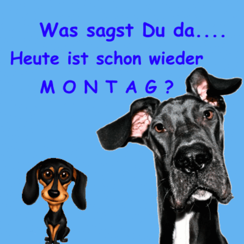 Condolence image of Tanja mit Timmy im Herzen