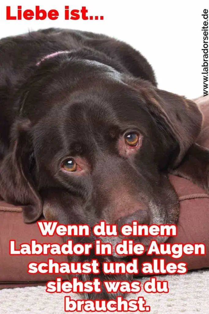 Condolence image of Für Flash ❤️❤️