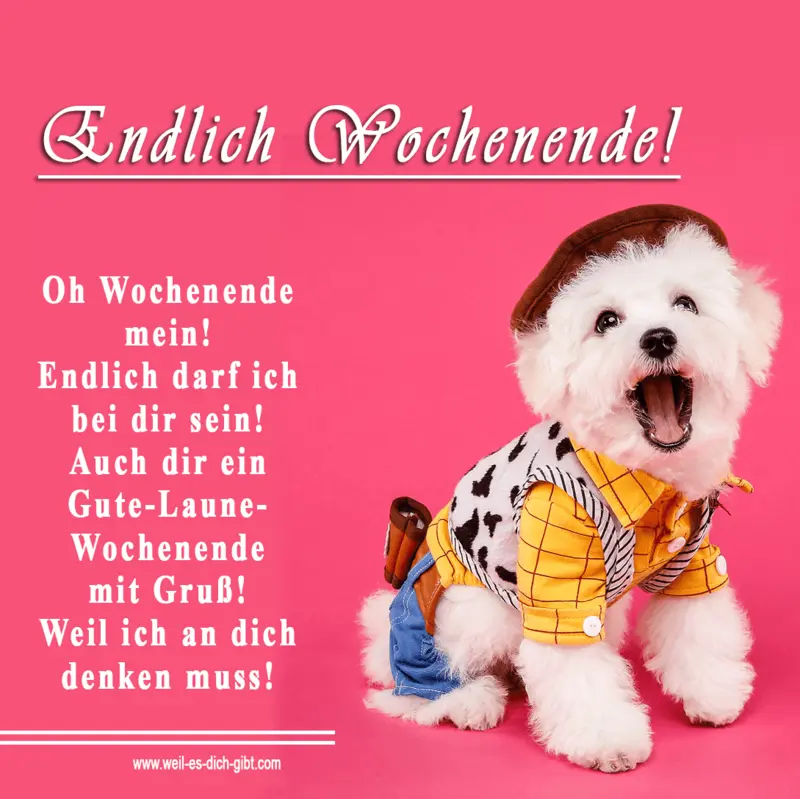 Condolence image of Tanja mit Timmy im Herzen