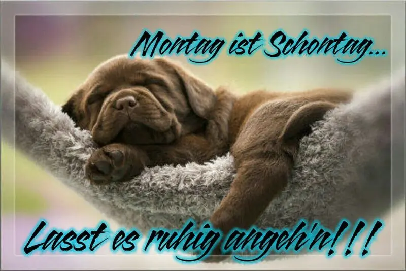 Condolence image of Jutta mit Flash ❤️