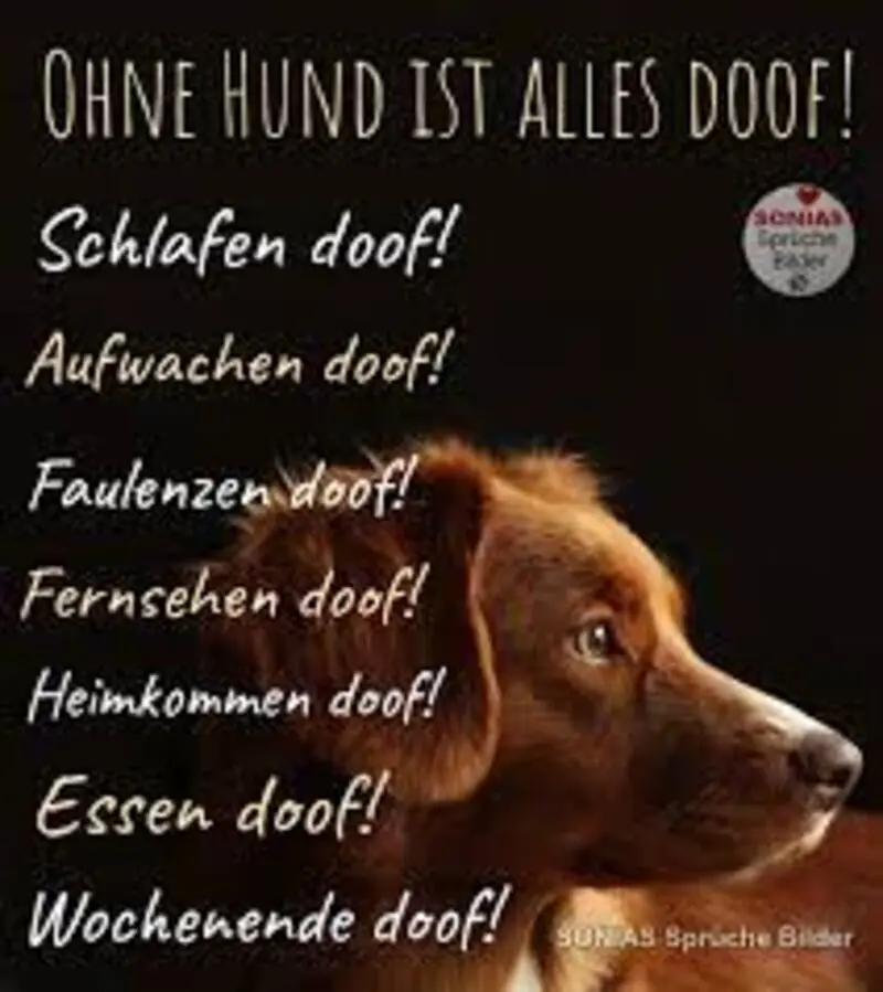 Condolence image of Unvergessen ❤️