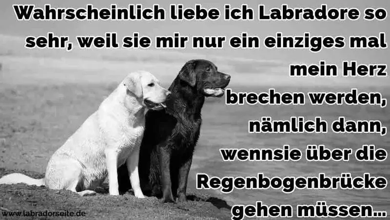 Condolence image of Unvergessen ❤️
