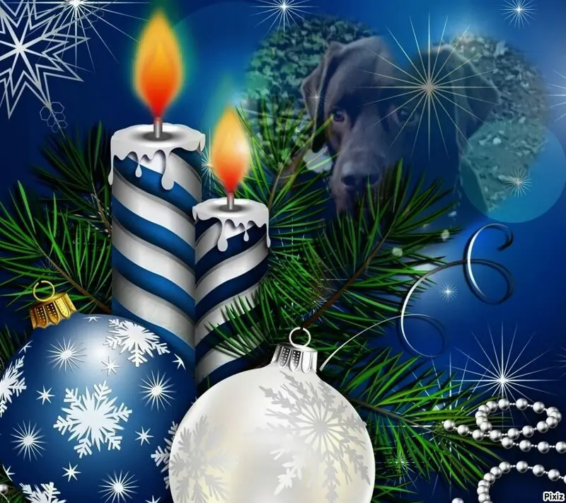Condolence image of Tanja mit Timmy im Herzen 