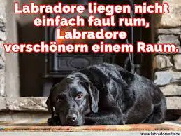 Condolence image of Jutta mit Flash ❤️