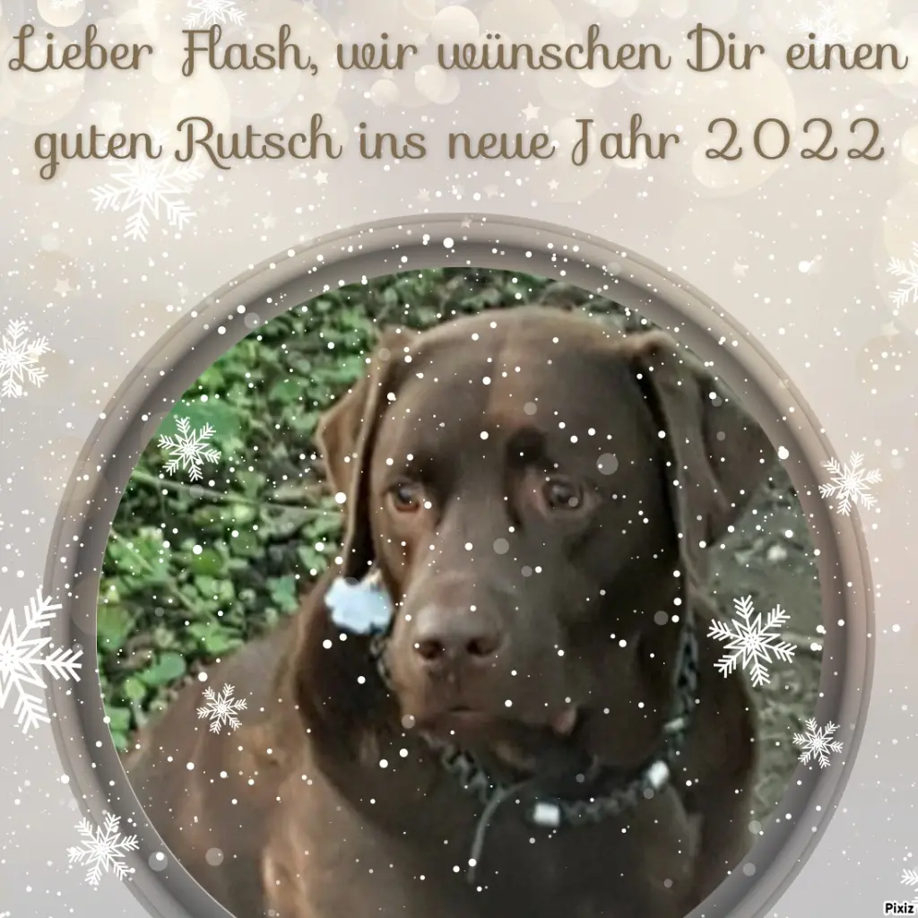 Condolence image of Tanja mit Timmy im Herzen 
